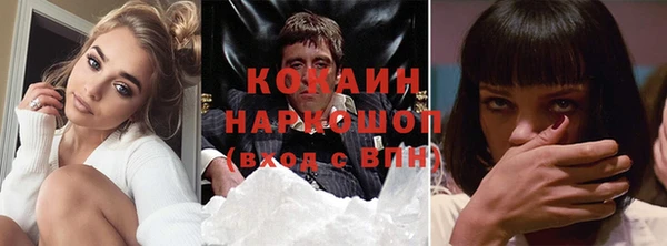 тгк Алексин