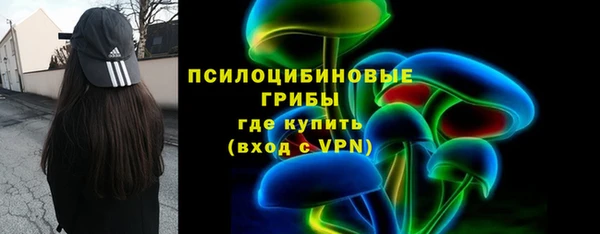тгк Алзамай