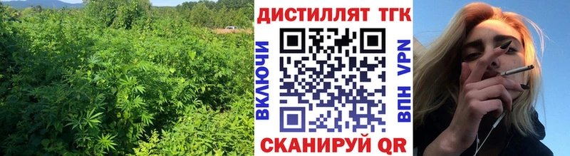 дарнет шоп  shop как зайти  ТГК гашишное масло  Тимашёвск  блэк спрут вход 