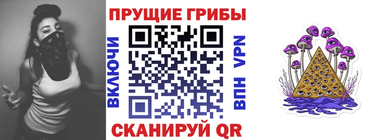 Галлюциногенные грибы Psilocybine cubensis  Тимашёвск 
